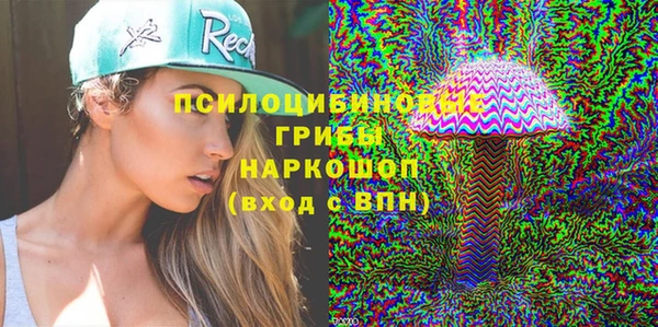 дмт Алзамай