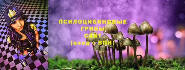 ПСИЛОЦИБИНОВЫЕ ГРИБЫ Алексин