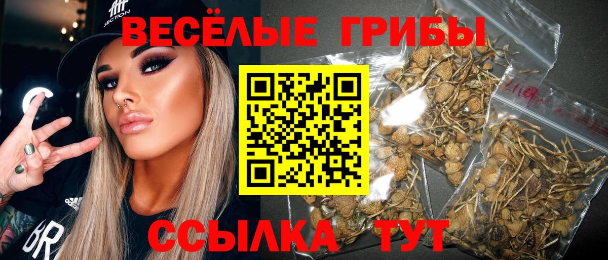 Лянтор  Псилоцибиновые грибы Cubensis  Вход с VPN 