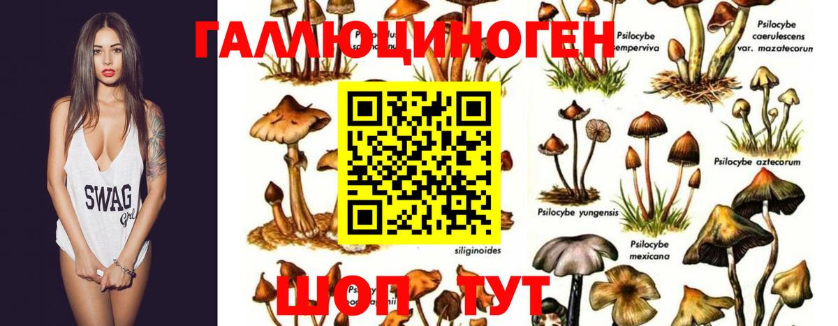 Галлюциногенные грибы мухоморы Лянтор