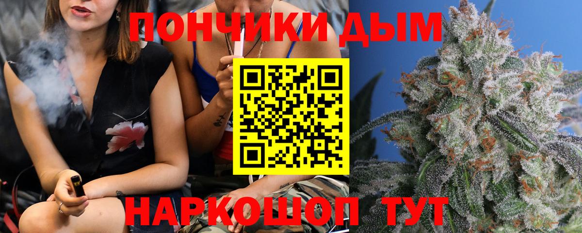 Бошки Шишки сатива Лянтор